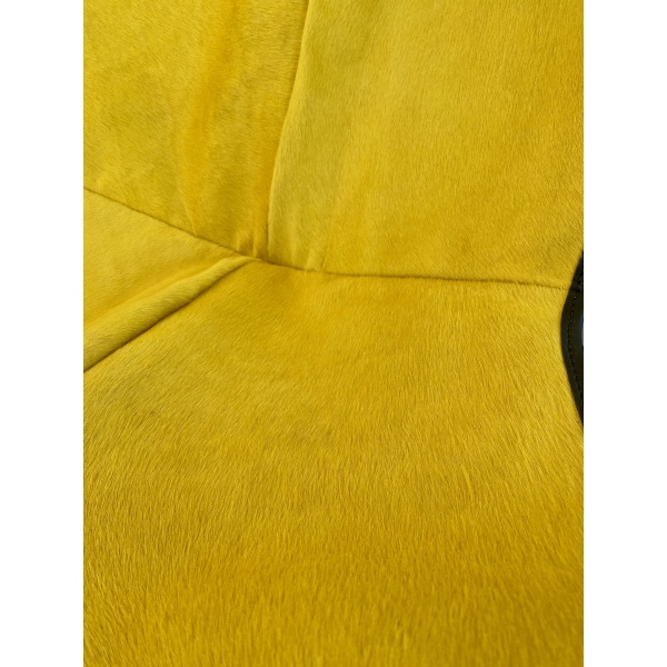 zoom poil jaune fauteuil